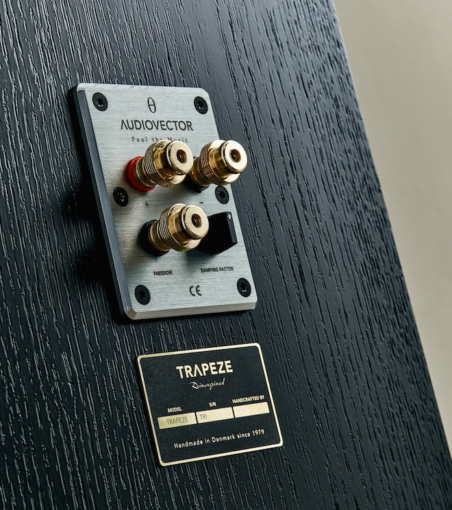 Audiovector Trapeze RI Rear Loudspeaker Connections