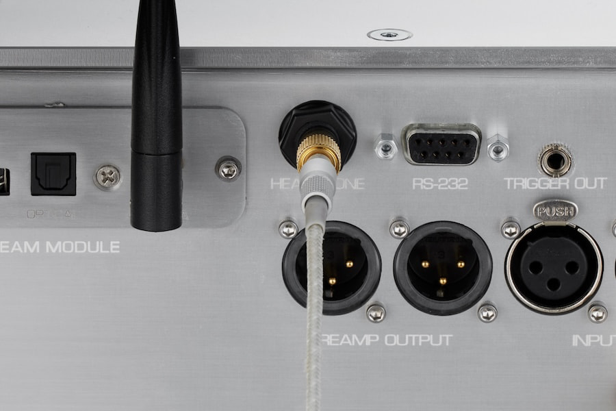 Dan D’Agostino Pendulum Integrated Amplifier Rear Inputs Closeup