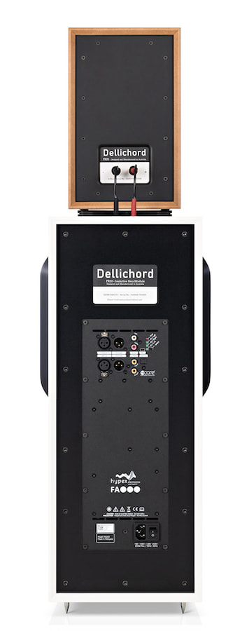 Dellichord FR2035 Loudspeaker System Rear