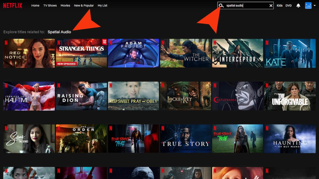 Netflix Spatial Audio Search