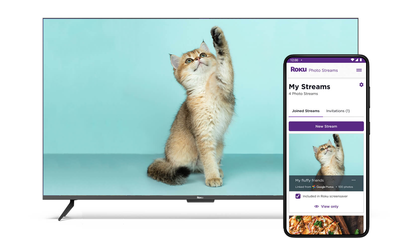 Roku Photo Streams/Google Photos