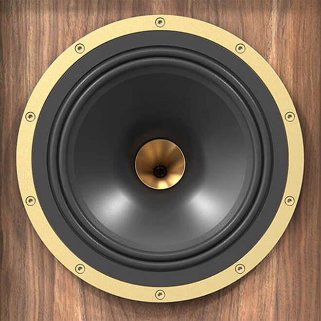 Tannoy Stirling III LZ Special Edition Speaker Dual Concentric Driver Example