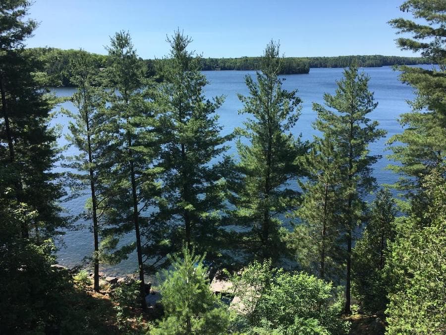 Lakefront view from cabin